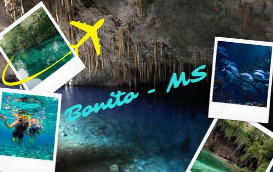BONITO - MS